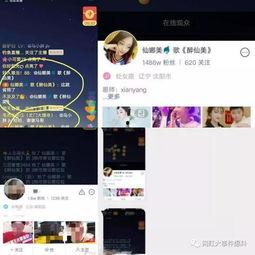 仙家娜美爆料视频大全,揭秘娱乐圈幕后真相  第2张