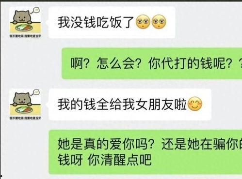 胖猫最新爆料网站,最新爆料网站深度解析  第3张